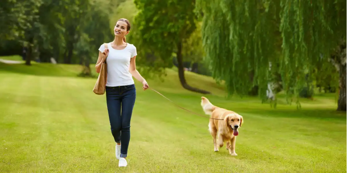 Passeios com Cachorro: Quanto Tempo é Necessário?